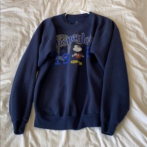 DISNEYLAND SWEATER BY HANES